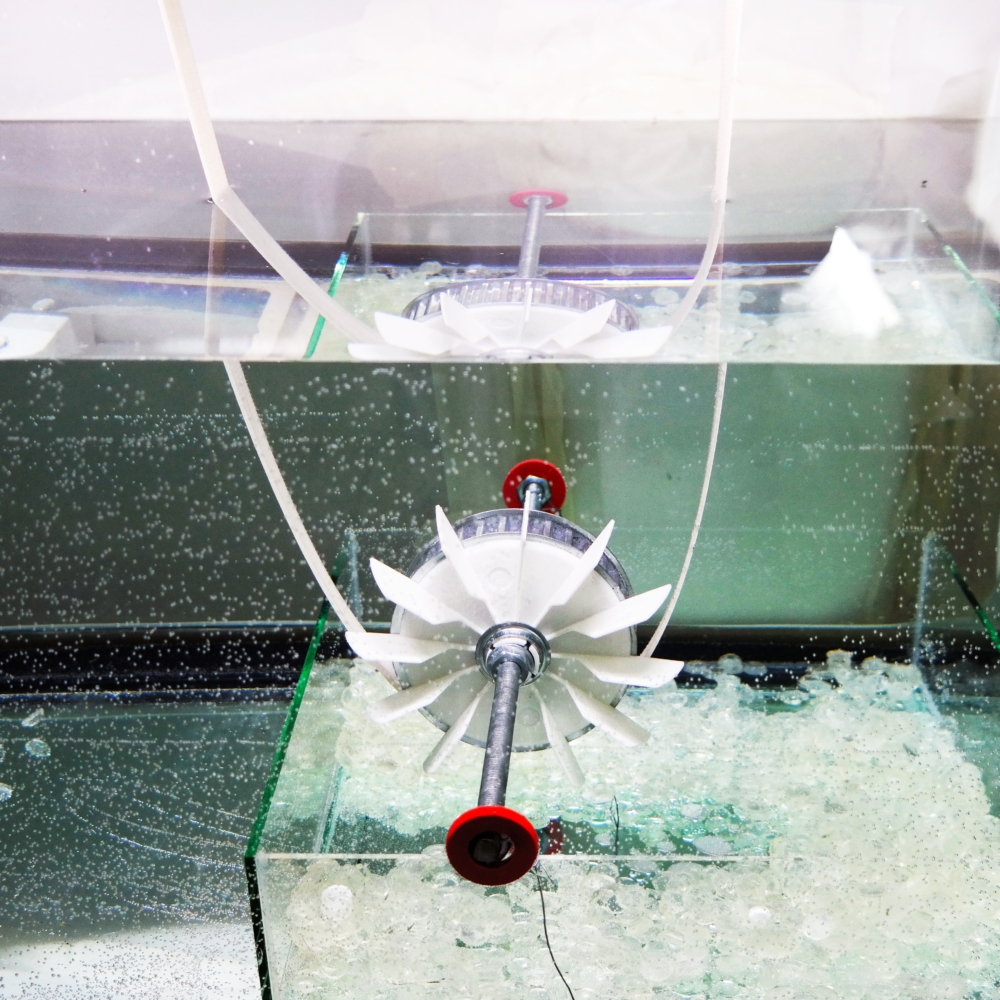 PHOTO for the file FESR FOR LOVE AND SHAME