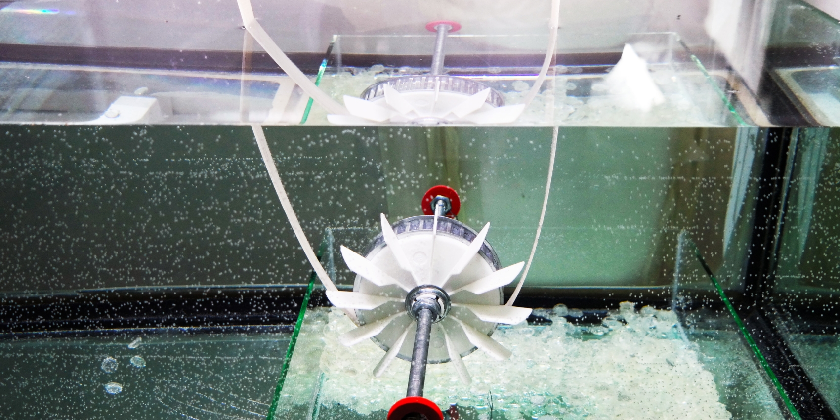 PHOTO for the file FESR FOR LOVE AND SHAME