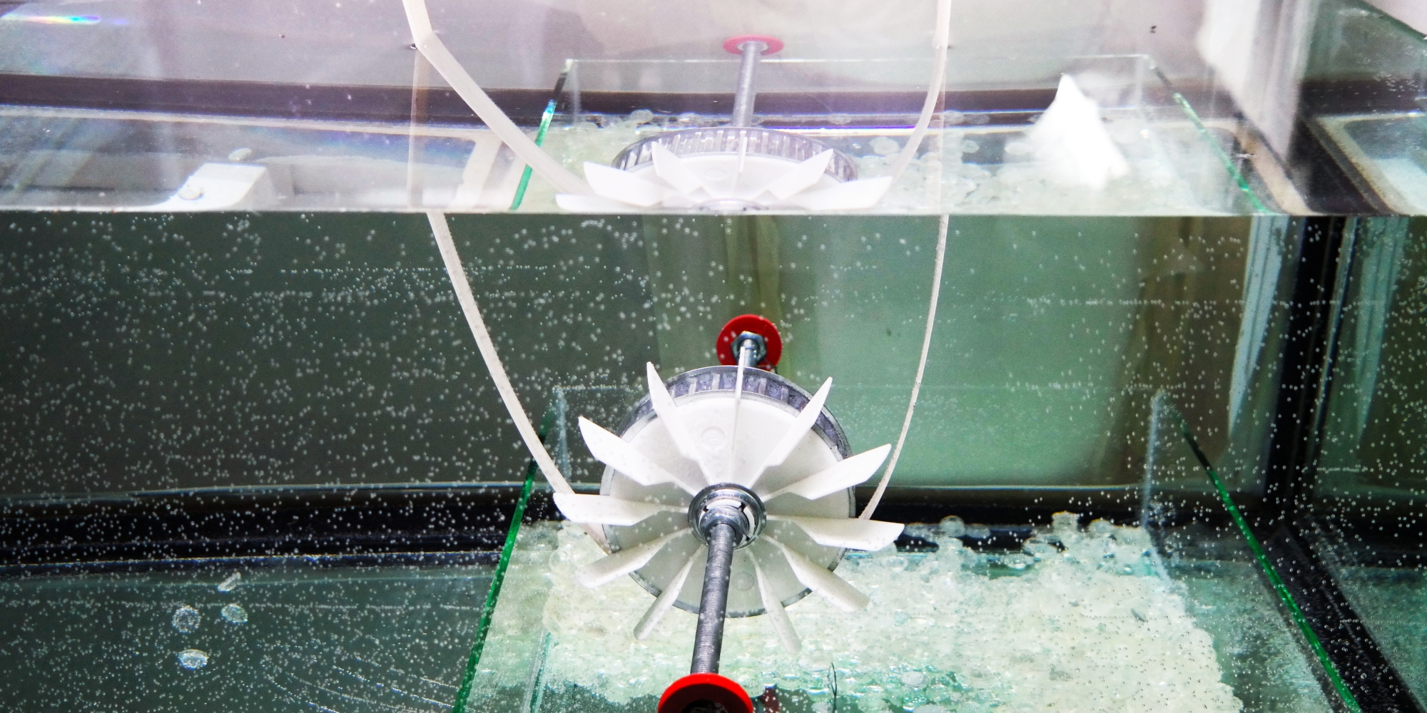 PHOTO for the file FESR FOR LOVE AND SHAME