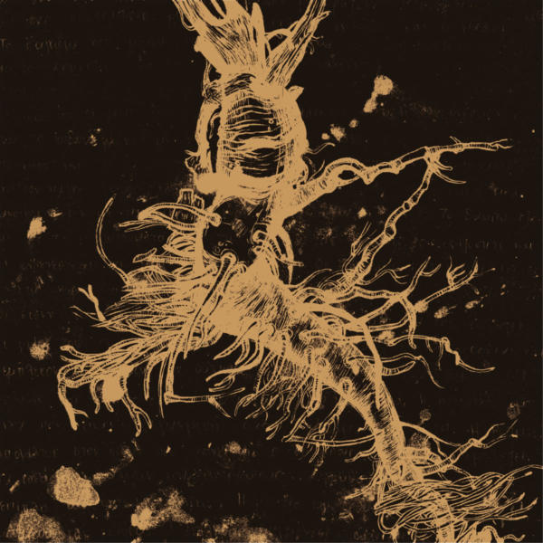 news HORSELOVERFAT  1 